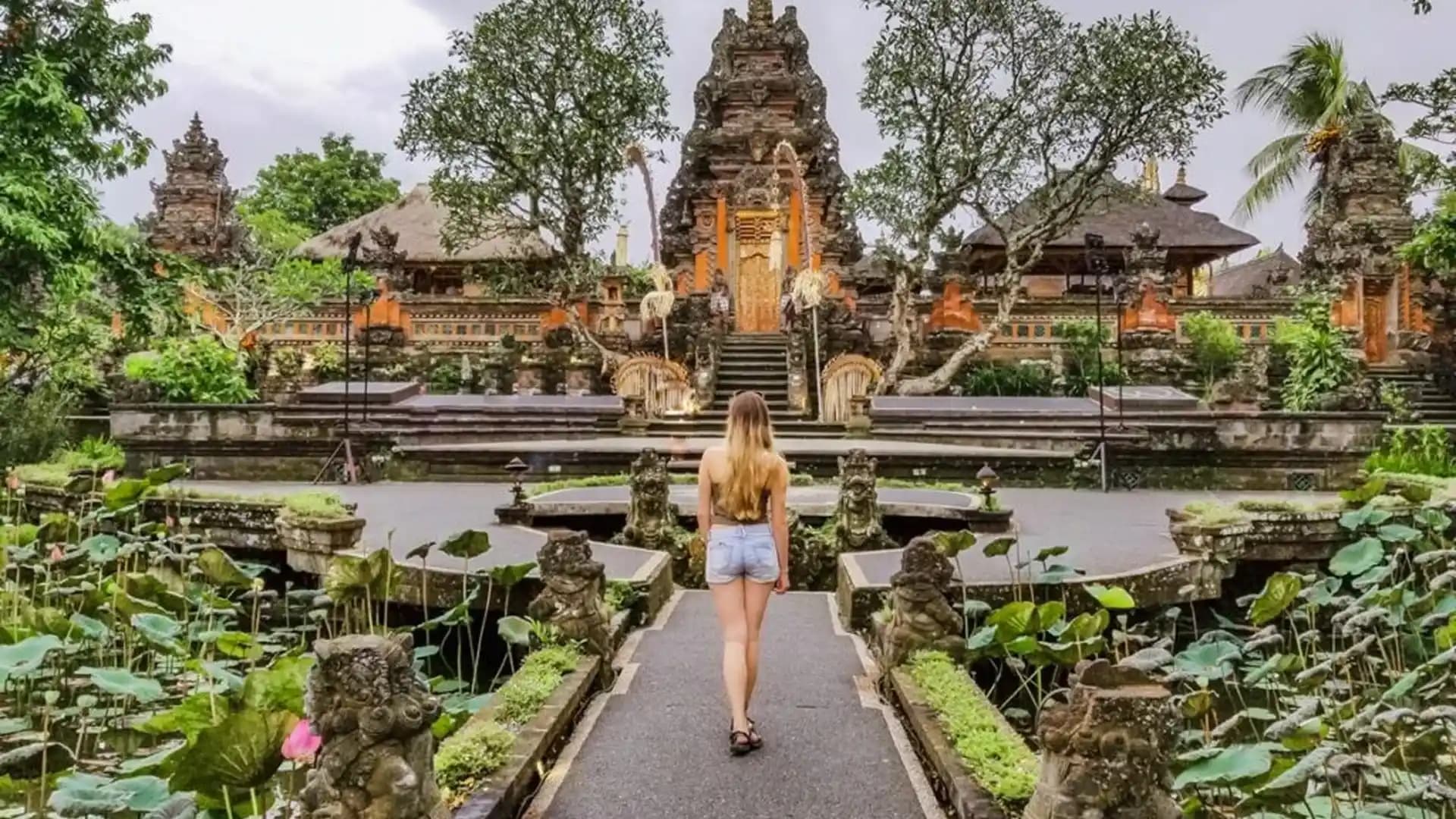 Esplora Ubud e la Monkey Forest