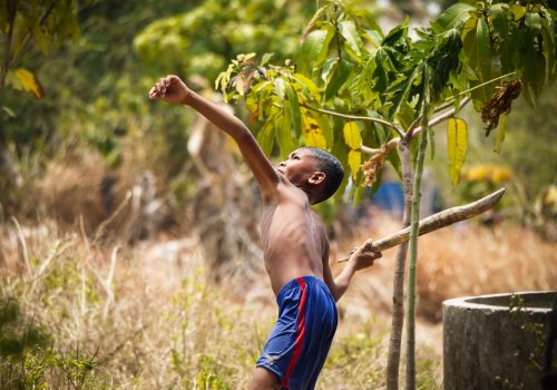 Boy kicking mangoes from a tree(1)