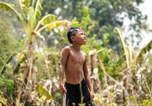 Boy kicking mangoes from a tree(2)