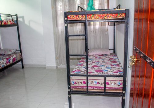 _Bunk beds