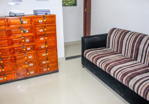 Couch in the living room