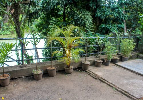 Garden overlooking the river 1