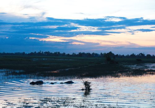 Lake(1)