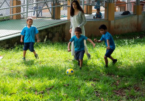 _PHYSICAL EDUCATION 11