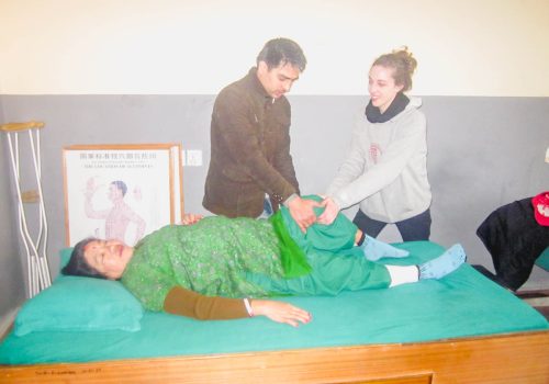 Physiotherapy16(1)