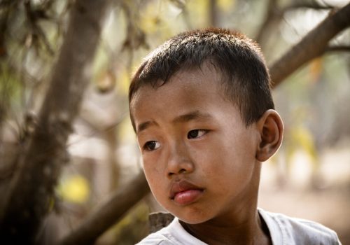 Portrait of little boy