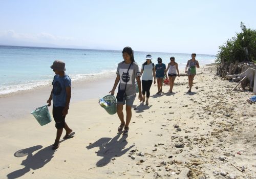 _Turtle conservation_NUSA-23