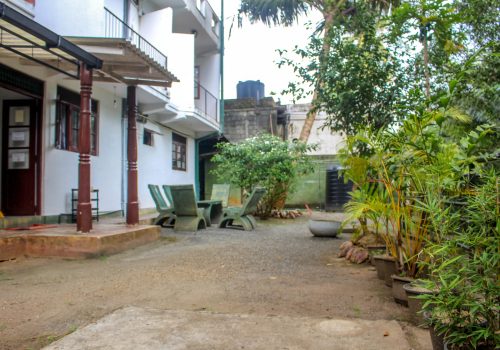 View from the garden