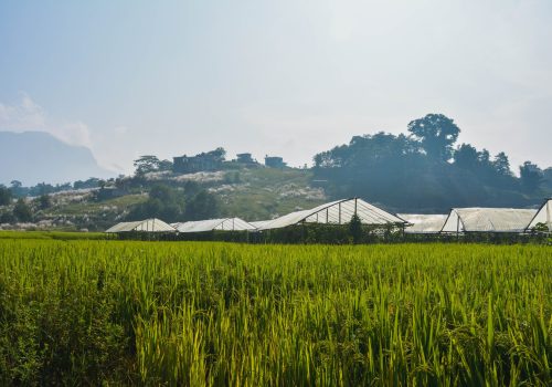 farming