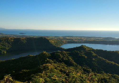 view